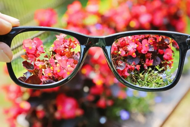 custom frames and lenses